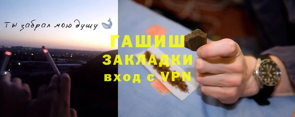 стаф Арсеньев