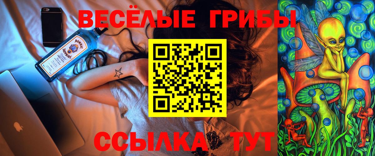 Орск  как найти закладки  Вход с VPN  Галлюциногенные грибы Psilocybine cubensis 
